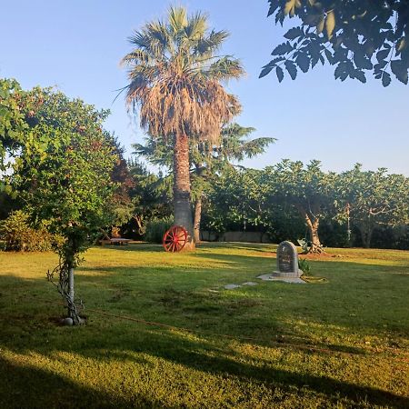 Apartments Karpetis A Green Paradise بساكوذيا المظهر الخارجي الصورة