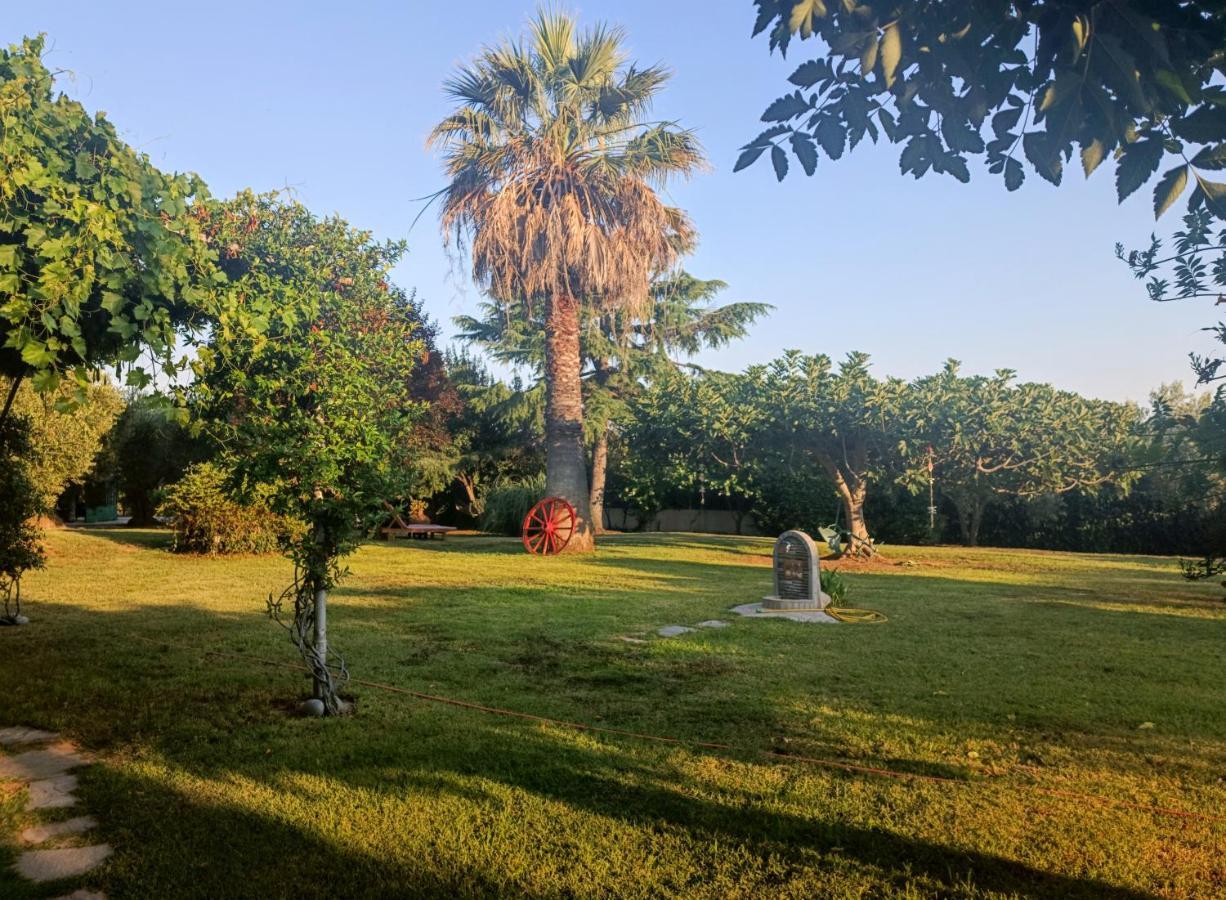 Apartments Karpetis A Green Paradise بساكوذيا المظهر الخارجي الصورة