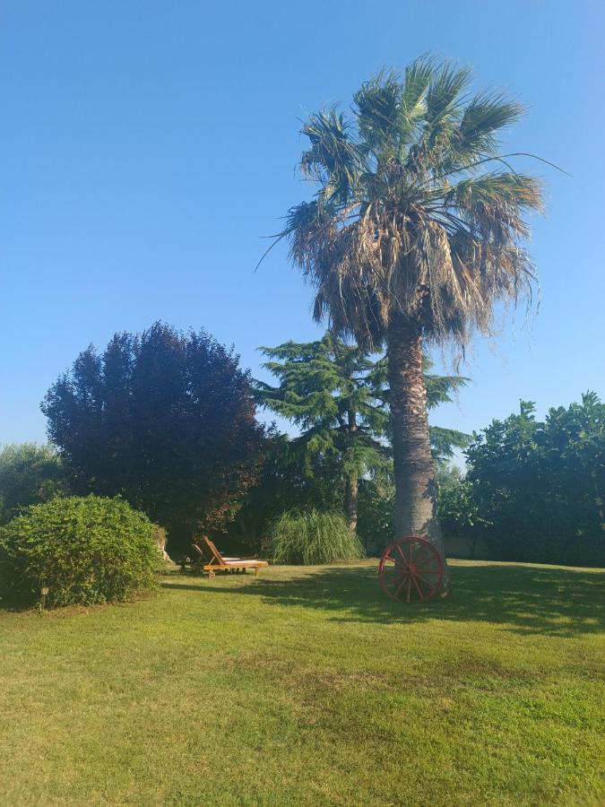 Apartments Karpetis A Green Paradise بساكوذيا المظهر الخارجي الصورة