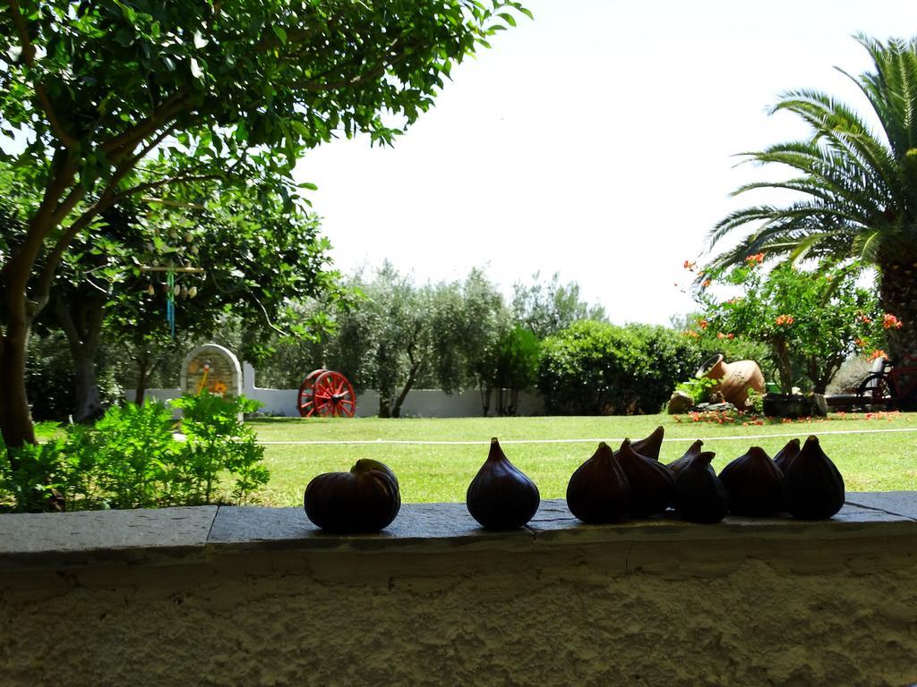 Apartments Karpetis A Green Paradise بساكوذيا المظهر الخارجي الصورة